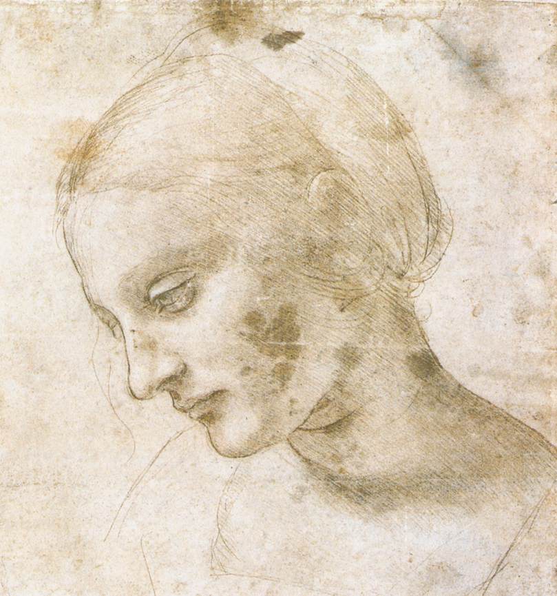 Leonardo+da+Vinci-1452-1519 (253).jpg